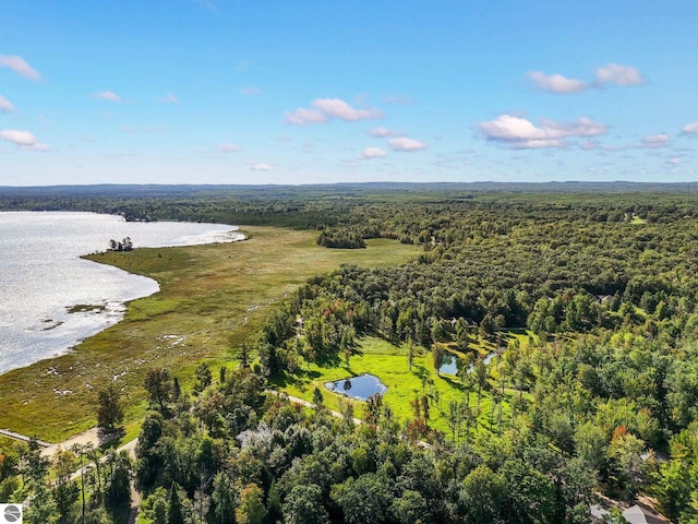 birds eye view of property featuring a water view and a view of trees