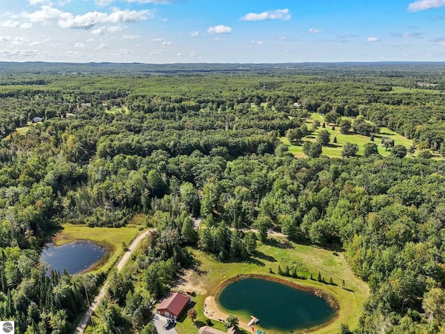 drone / aerial view with a water view and a view of trees