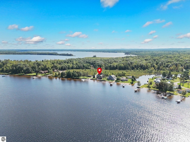 aerial view featuring a water view and a wooded view