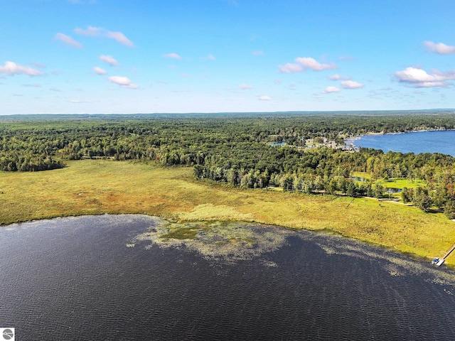 aerial view with a water view and a wooded view