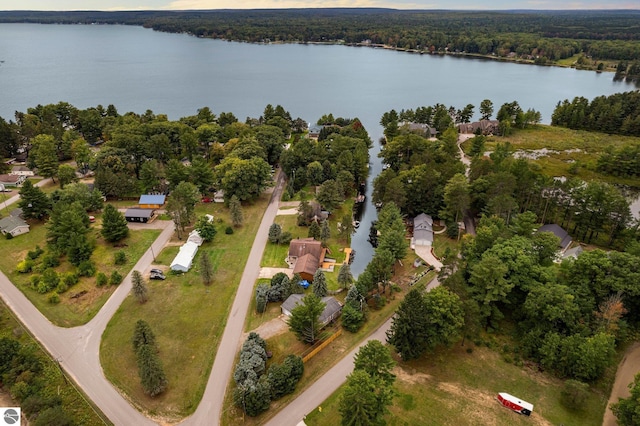 drone / aerial view with a water view and a forest view