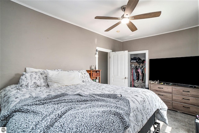 bedroom with a closet, crown molding, a spacious closet, and ceiling fan