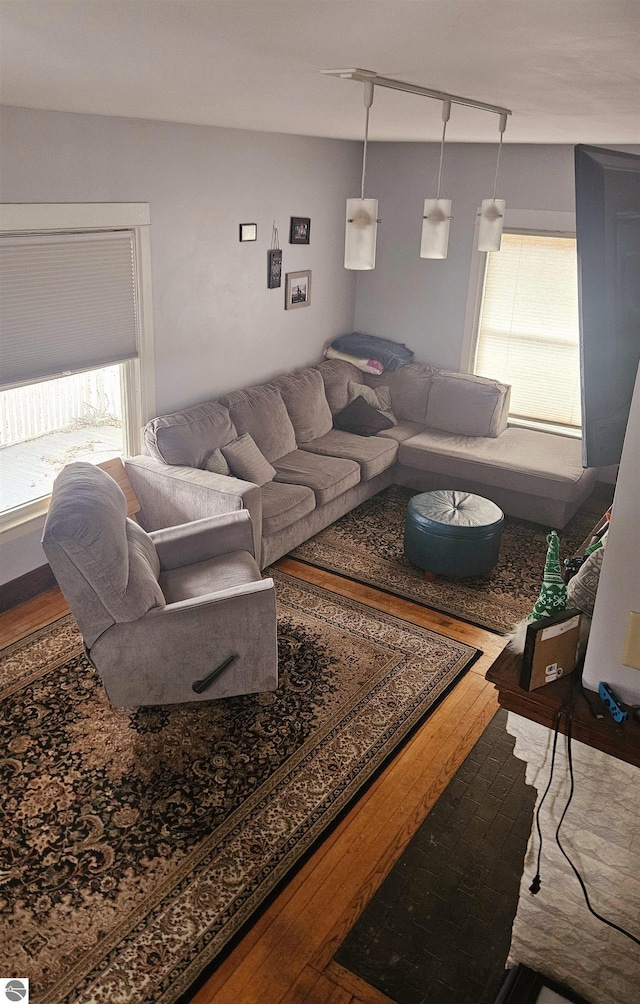 living area with track lighting and hardwood / wood-style floors