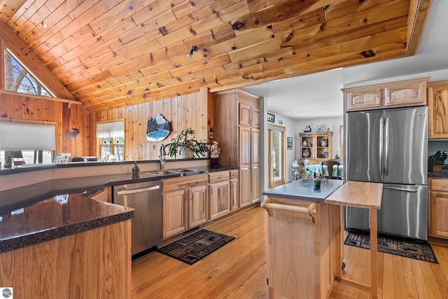 kitchen with stainless steel appliances, light wood finished floors, a sink, and a wealth of natural light