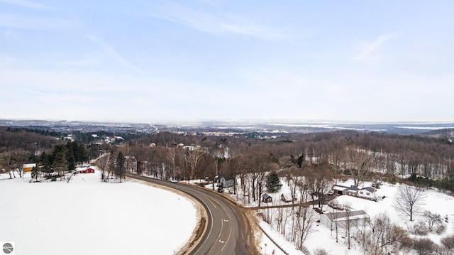 view of snowy aerial view