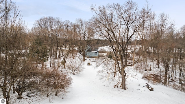 view of yard layered in snow