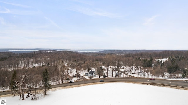 exterior space with a wooded view