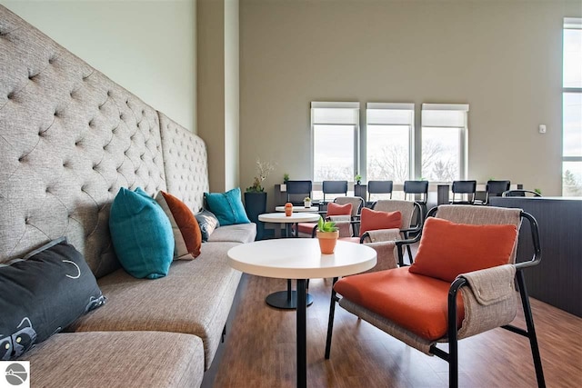 living area featuring a high ceiling and wood finished floors