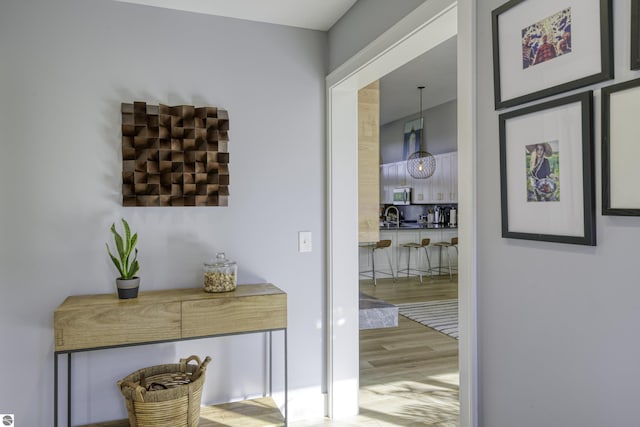 interior space featuring a sink and wood finished floors