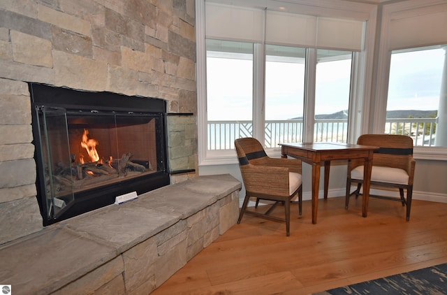 living area featuring a stone fireplace, a healthy amount of sunlight, a water view, and light wood-style flooring