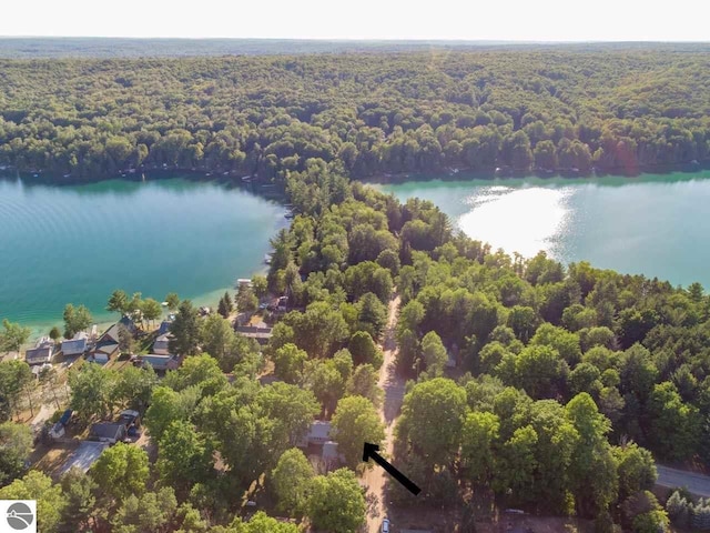 birds eye view of property with a water view and a view of trees