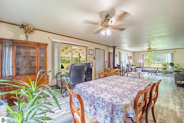 dining room with crown molding, a ceiling fan, and wood finished floors