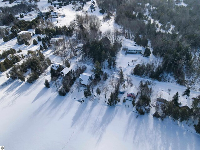 5493 Indian Trl, Frankfort, MI 49635