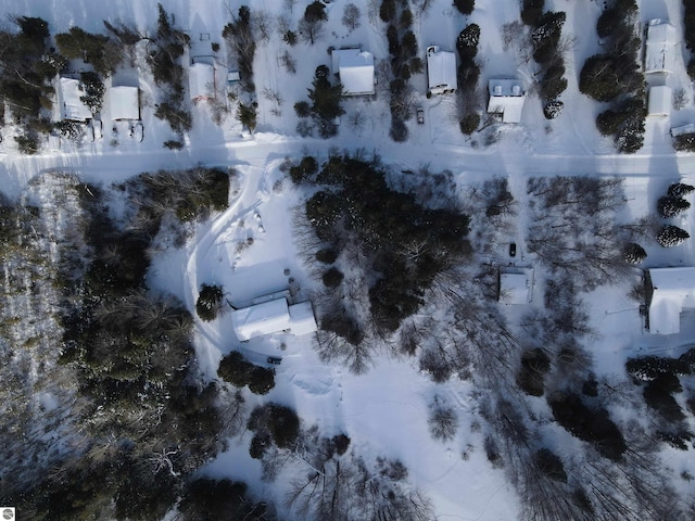5493 Indian Trl, Frankfort, MI 49635