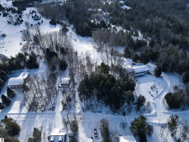 5493 Indian Trl, Frankfort, MI 49635