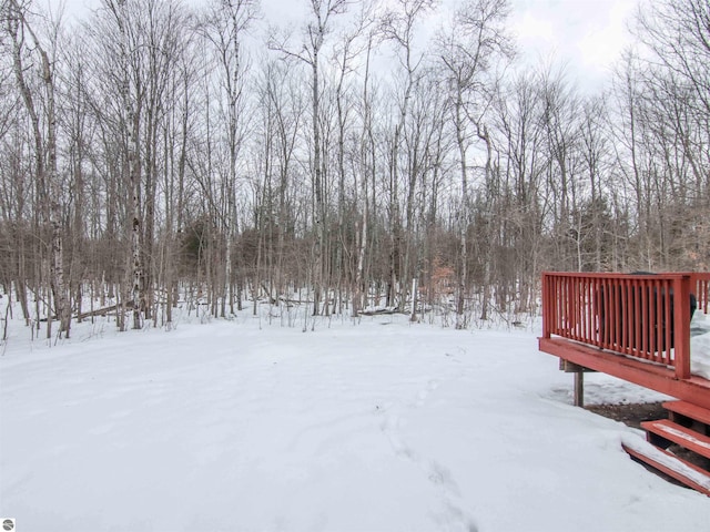 view of yard layered in snow