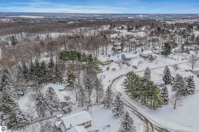 view of snowy aerial view