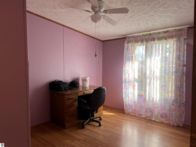 home office featuring ceiling fan, a textured ceiling, crown molding, and light wood-style floors