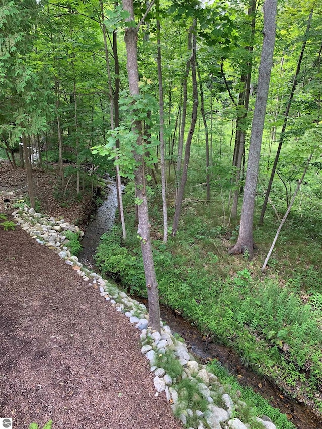 view of yard with a wooded view