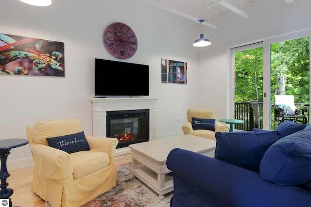 living room featuring a glass covered fireplace, wood finished floors, and baseboards