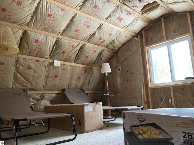 view of unfinished attic