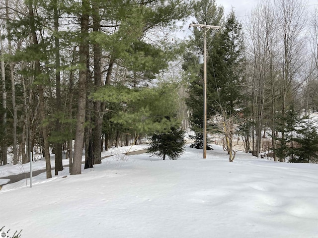 view of yard covered in snow