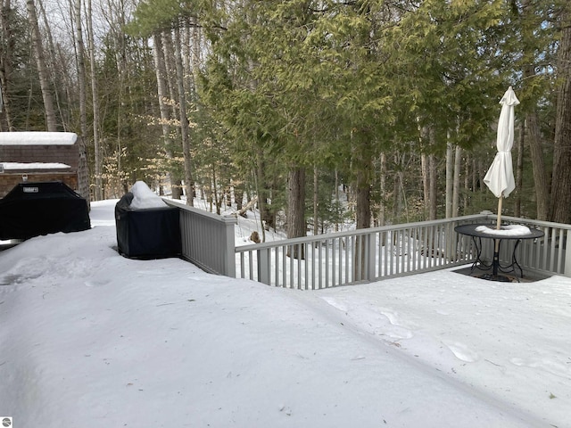 view of yard covered in snow