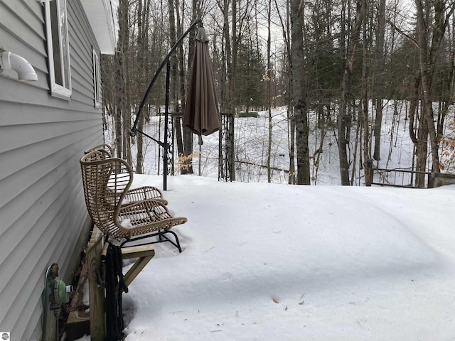 view of yard covered in snow