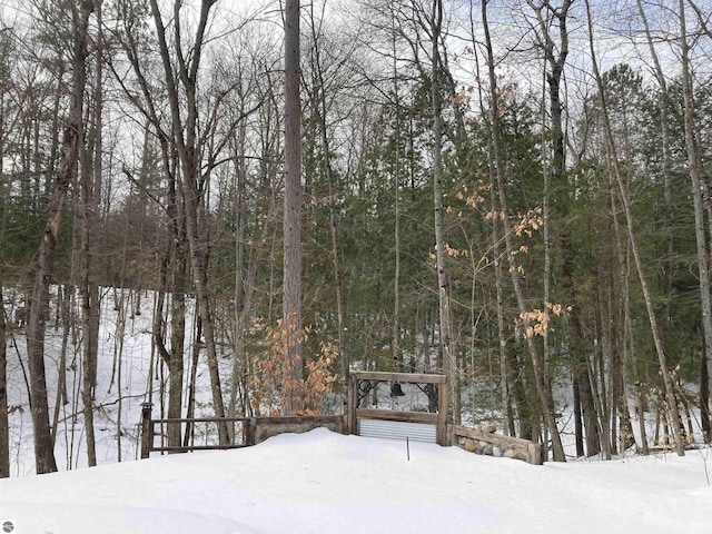 yard covered in snow with a wooded view