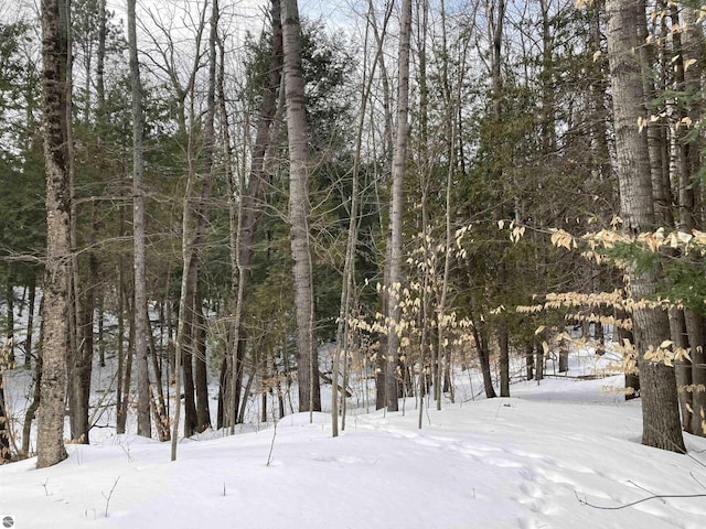 view of snowy landscape