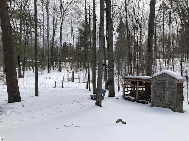 view of yard covered in snow