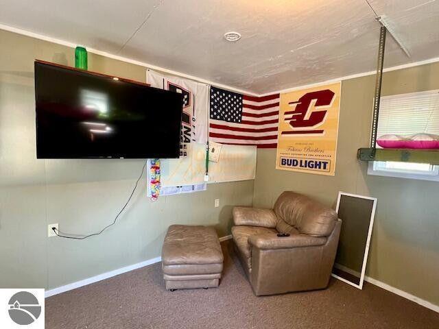 living area featuring carpet and baseboards