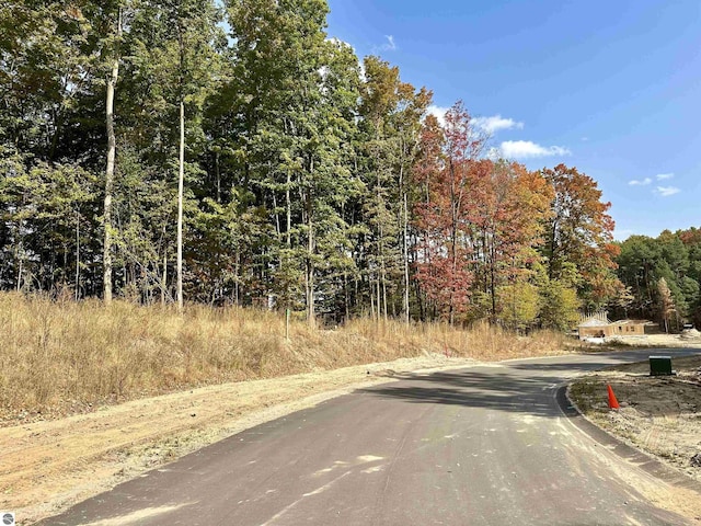 view of street with a wooded view