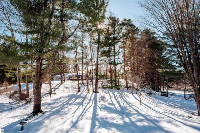 view of snowy yard