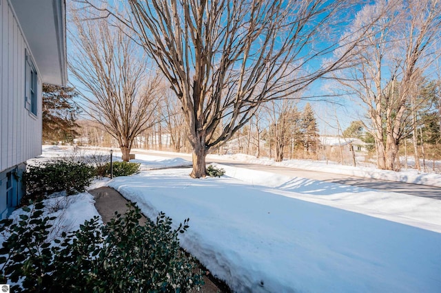 view of yard covered in snow