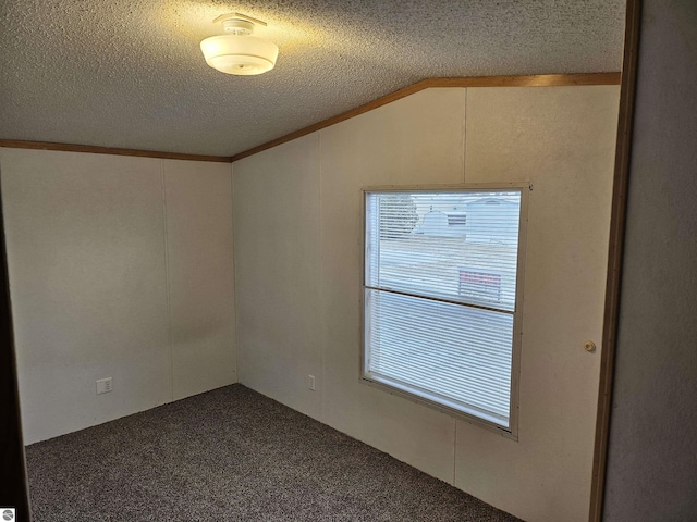 empty room with lofted ceiling, plenty of natural light, a textured ceiling, and dark colored carpet