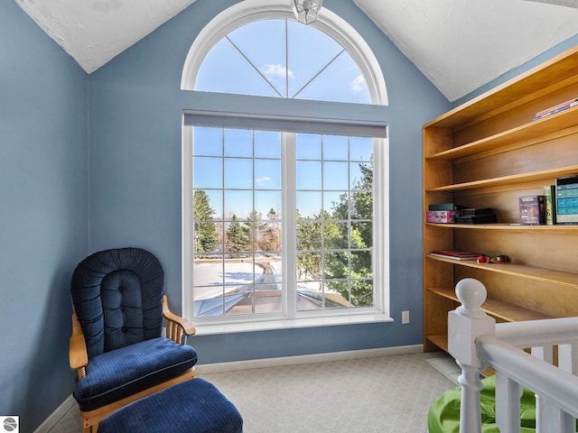 bedroom featuring lofted ceiling, baseboards, and carpet