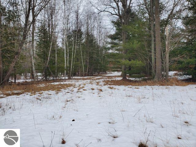 0 Rodnick Rd, Prescott MI, 48756 land for sale