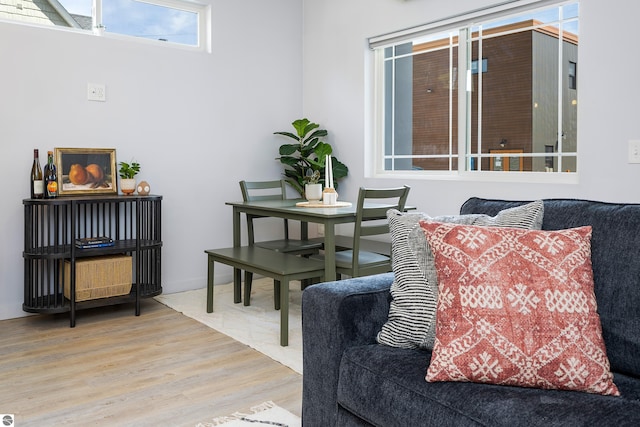 living room featuring wood finished floors