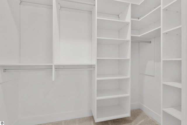 spacious closet with carpet floors