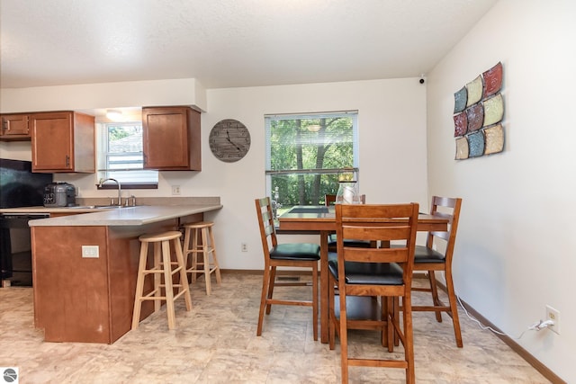 dining space featuring baseboards and a wealth of natural light