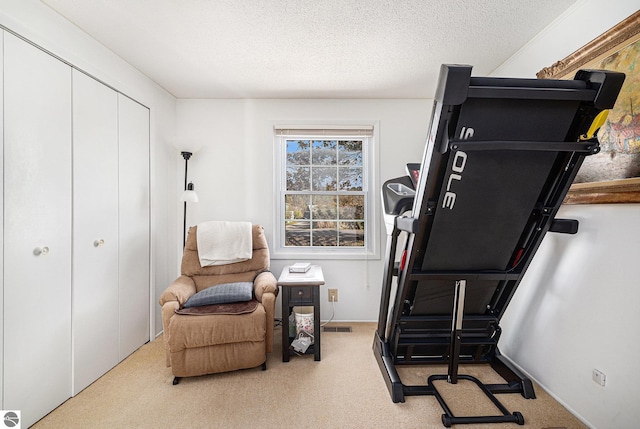 living area with carpet floors and a textured ceiling