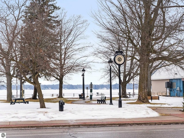 view of home's community