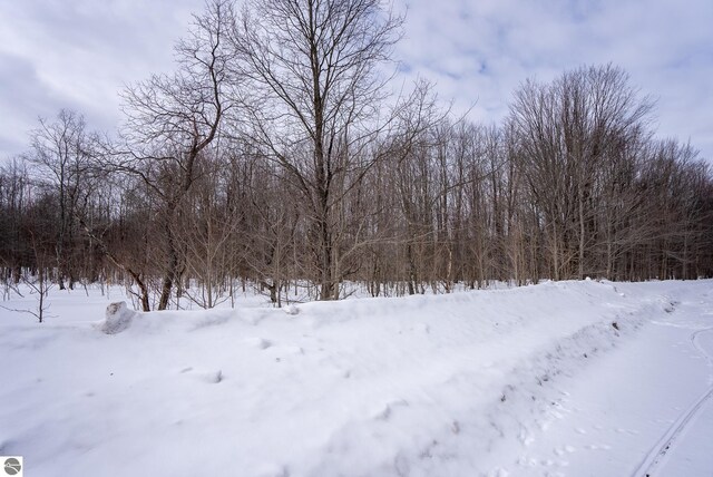 V/L Crestrose Dr, Mancelona, MI 49659