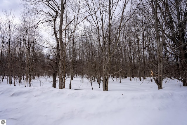 V/L Crestrose Dr, Mancelona, MI 49659