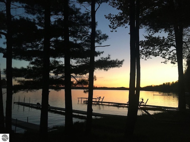 property view of water with a dock