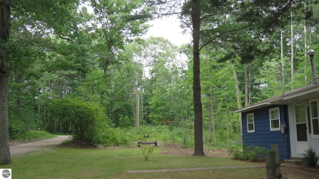 view of yard with a wooded view