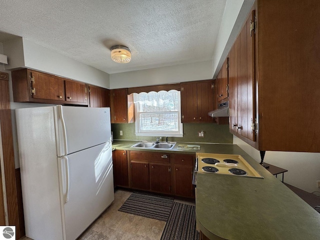 kitchen featuring cooktop, freestanding refrigerator, a sink, a textured ceiling, and under cabinet range hood