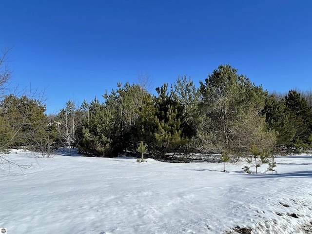 00 Virginia Cir, Interlochen MI, 49643 land for sale