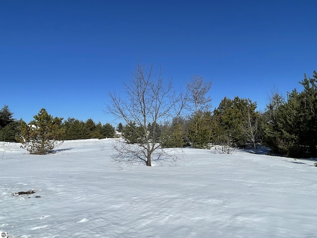 Listing photo 3 for 00 Virginia Cir, Interlochen MI 49643